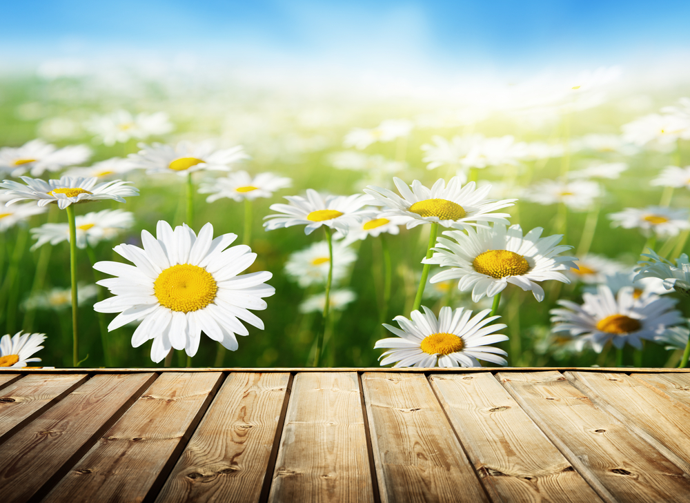 Can HOA make me remove my deck?